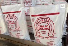 Salineros de Colima cierran una de sus mejores zafras y proyectan incremento histórico para 2026