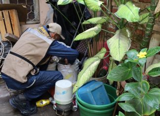 Salud Colima intensifica control larvario contra el dengue, en Manzanillo