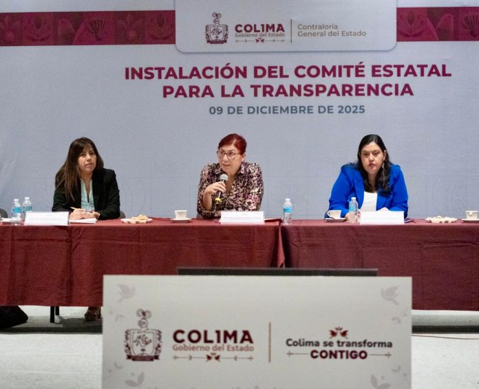 transparencia comite estatal isela