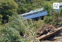 Se registra descarrilamiento de tren en la Línea Z del Corredor Interoceánico, en Oaxaca