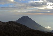 Volcán de Fuego se mantiene en calma y sin riesgo: UEPC Colima