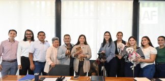 Aprueban en Manzanillo el Reglamento para la Protección y Bienestar de los Animales