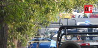 Tras asesinato de policía estatal, operativo en Colima deja un presunto delincuente abatido, una mujer detenida y uno huye a pie