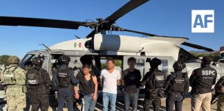 Cae “El Botox”: operación conjunta desarticula célula criminal en Michoacán