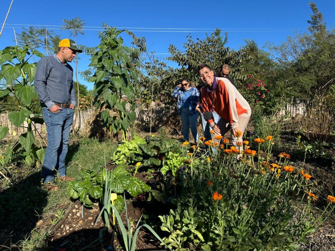 Curso Educación para la vida, en Jornadas Académicas