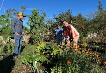 Educar para vida: más allá de los modelos educativos tradicionales