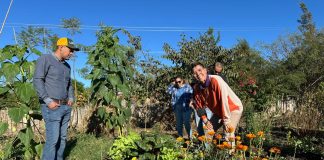 Educar para vida: más allá de los modelos educativos tradicionales