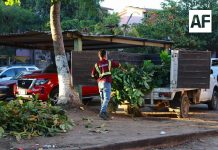 Gobierno de Manzanillo realiza limpieza y poda en andadores del Barrio 1