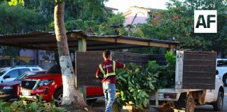 Gobierno de Manzanillo realiza limpieza y poda en andadores del Barrio 1