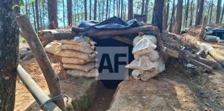 Operativos en Michoacán dejan cuatro detenidos y el desmantelamiento de campamentos delictivos