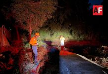 Protección Civil municipal atendió incendio en Av. Venustiano Carranza en Colima