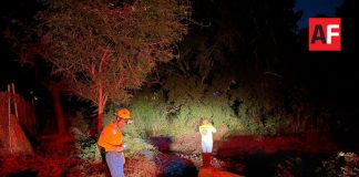 Protección Civil municipal atendió incendio en Av. Venustiano Carranza en Colima