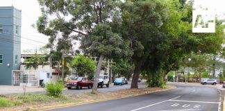 Rosi Bayardo supervisa avance de rehabilitación de la avenida Manzanillo