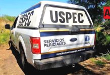 Localizan 6 ejecutados en predio de “El Guayabo”, en Apatzingán, Michoacán