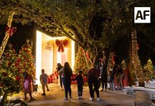 El Bosque Navideño concluye con balance positivo; más de 37 mil personas lo disfrutaron: Subsectur Colima