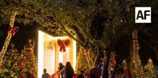 El Bosque Navideño concluye con balance positivo; más de 37 mil personas lo disfrutaron: Subsectur Colima