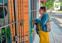 Permanente, el control larvario en los 5 municipios de riesgo de dengue: Salud Colima