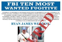 Capturan en México a Ryan James Wedding, uno de los diez fugitivos más buscados por el FBI