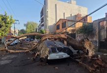 Autoridades activan protocolos de Protección Civil tras sismo de 6.5 con epicentro en Guerrero