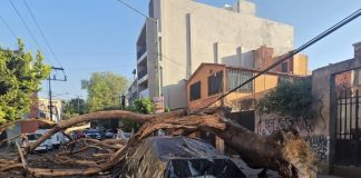 Autoridades activan protocolos de Protección Civil tras sismo de 6.5 con epicentro en Guerrero