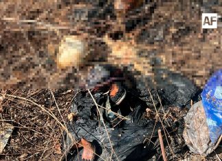 Hallazgo de restos humanos en la colonia Alfonso Rolón de Villa de Álvarez