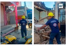 Sismo de 6.5 en Guerrero deja una mujer fallecida y afectaciones en 24 municipios; evalúan daños autoridades de los tres niveles