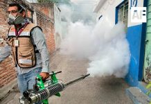 Colima se ubica fuera de los primeros 20 estados del país con más casos e incidencia de dengue en 2025