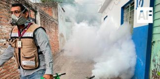 Colima se ubica fuera de los primeros 20 estados del país con más casos e incidencia de dengue en 2025