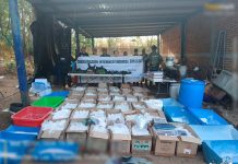 Golpe al narcotráfico en Sinaloa: Marina desmantela centros de producción y captura a siete