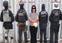 Detienen en la Ciudad de México a seis personas vinculadas a una organización criminal trasnacional