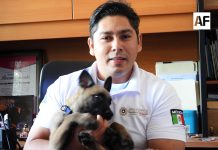 Ciudadanos eligen el nombre de “Giro” para el primer perro rescatista de Protección Civil Colima