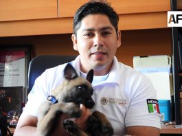 Ciudadanos eligen el nombre de “Gyro” para el primer perro rescatista de Protección Civil Colima