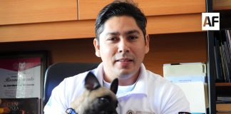 Ciudadanos eligen el nombre de “Giro” para el primer perro rescatista de Protección Civil Colima