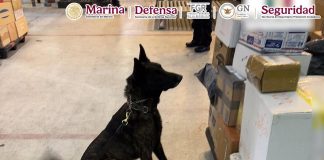 Autoridades federales asestan golpe al narcotráfico en el AICM: aseguran cargamento de fentanilo proveniente de Asia