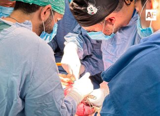 IMSS hace historia: realiza cirugía fetal de hidrocefalia, procedimiento no visto en México en 30 años