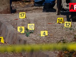 Colima mantuvo altas tasas de homicidio y extorsión en 2025; otros delitos tienen reducción: Informe federal 2025