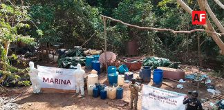 Operativo interinstitucional asesta golpe al narcotráfico con el desmantelamiento de laboratorios en tres estados: Durango, Sinaloa y Michoacán