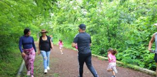 Salud Colima recomienda actividad física para un año más saludable