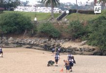 Armada de México encabeza jornada de saneamiento ambiental en las costas de Manzanillo