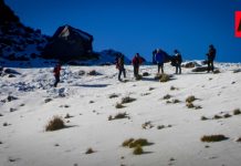 Operativo y Restricciones de Acceso en el Parque Nacional Nevado de Colima: Guía Completa para Visitantes