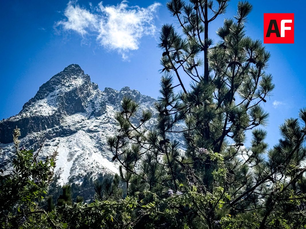 nevado de colima 18 enero 2026 nieve_68