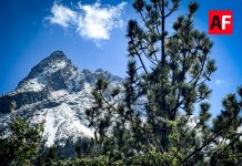 C5 Jalisco localiza a tres personas extraviadas en el Nevado de Colima