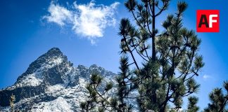 C5 Jalisco localiza a tres personas extraviadas en el Nevado de Colima