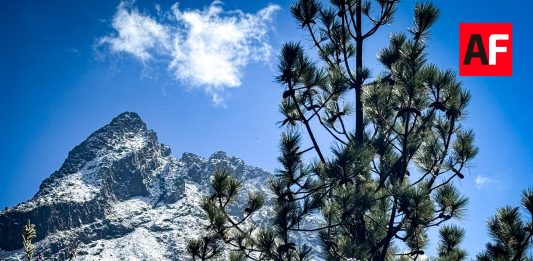 C5 Jalisco localiza a tres personas extraviadas en el Nevado de Colima