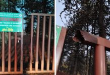 Investigan daños en instalaciones del Parque Nacional Nevado de Colima