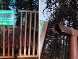 Investigan daños en instalaciones del Parque Nacional Nevado de Colima