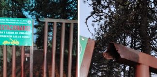 Investigan daños en instalaciones del Parque Nacional Nevado de Colima