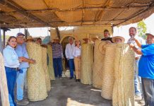 Apoya Tey con 490 petates nuevos para la construcción de La Petatera