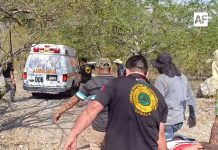 Reportan ataque de abejas africanizadas a senderistas en Comala; un hombre fue hospitalizado