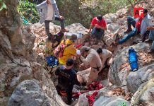 Rescate de emergencia en Tequila: Localizan con vida a adulto mayor tras caída de cinco metros